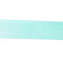 1in Poly/Nylon Herringbone Webbing Mint 25MM-44