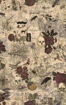 3 Sisters Haunted Mansion-Multi 44371-11