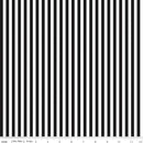 Stripes-1/4" Black C555-BLACK