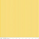 Stripe-1/8" Stripe Mustard C495-MUSTARD