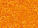 Baiame's Spirit-Bird Tracks Orange OA598353
