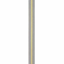 Black/White 5 Nylon Gold Coil Zippers ZBY5C57