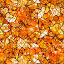 Bohemian Sunrise - Celestial Blender - Orange 2600-31093-O