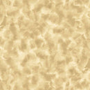 Color Dance 1649-29008-E