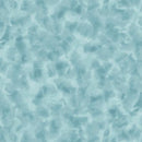 Color Dance 1649-29008-QI