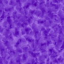 Color Dance 1649-29008-V