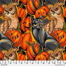 Costumes & Cobwebs-Pumpkin Party Orange PWRH121.ORANGE