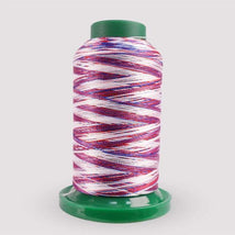 Exquisite Medley Variegated Patriotic 40wt 1000m V106