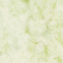 Glorious Greens-Celery CELERY
