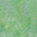 Glorious Greens-Sprout SPROUT