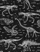 Glow Dinosaur Skeletons DINO-CG5797-BLACK