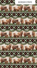 Highland Heart - Border Stripe Black Multi DP28046-99
