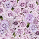 Love Letter FLEUR-CD2370-ROSE