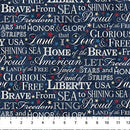 Stars & Stripes 13-Words Navy/Multi 27885-49