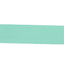 1in Poly/Nylon Webbing Mint 25MM-P-32