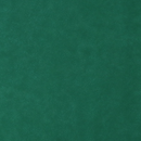 Precut Suede - Kelly Green - 18" x 53"
