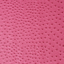 Precut Vinyl - Serengeti Ostrich - Fuschia - 18"x54"