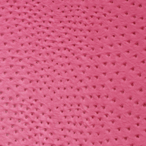 Precut Vinyl - Serengeti Ostrich - Fuschia - 18"x27"