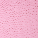 Precut Vinyl - Serengeti Ostrich - Pink - 18"x27"