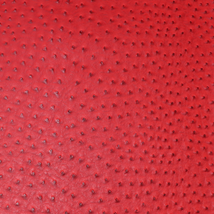 Precut Vinyl - Serengeti Ostrich - Red - 18"x54"