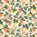 Primavera-Citrus Floral Cream RP300-CR1