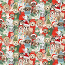 Santa Paws Digital Posing Pets Y4428-55