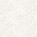 Stucco-Snow W110-001-001
