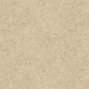 Stucco-Tan W110-001-051