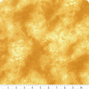 Sunkissed 1665-33921-555