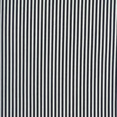Black/White Stripe C8109-BLK