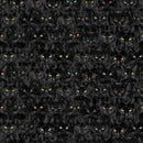 Wicked Black Cats Magic-BLack CAT-CD1831-BLACK