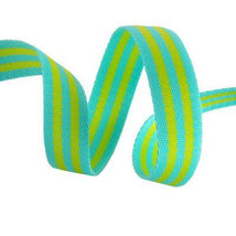 1" Tula Pink Webbing-Lime/Turquoise RRTKS9104