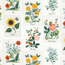 Curio-Botanical Prints Pink Multi RP1101-PM1