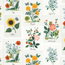 Curio-Botanical Prints Pink Multi RP1101-PM1