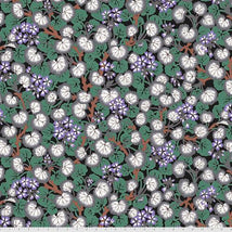 Kaffe Fassett Coll.-August 2021 PWPJ110.BLACK
