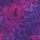 Lilly Bella-Plum AMD-22346-24