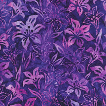 Lilly Bella-Purple AMD-22340-6