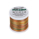 Polyneon Poly Emb Thrd Variegated 9845-1600