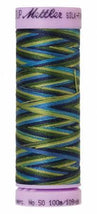 Silk-Finish Lakeside View 50wt 100M Variegated Cotton Thread