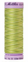 Silk-Finish Little Spouts 50wt 100M Variegated Cotton Thread