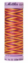 Silk-Finish Smiley Mix 50wt 100M Variegated Cotton Thread