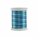 Superior Fantastico Variegated Trilobal Polyester500yds-Niagara 11701-5006