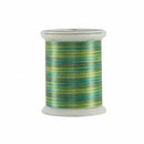 Superior Fantastico Variegated Trilobal Polyester500yds-Wales 11701-5007