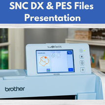 SNC DX & PES Files Presentation* Mon 01/19 9:30am-12:30pm