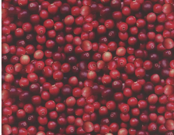 2024 Christmas-Cranberries Red 133451