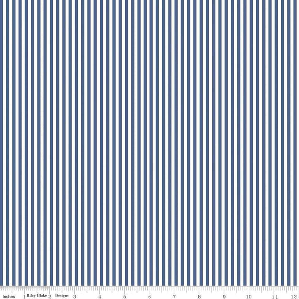 Stripes 1/8"-Denim C495-DENIM