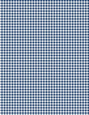 Classics-1/8" Gingham Navy 39161-144