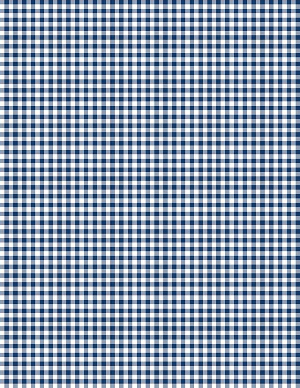 Classics-1/8" Gingham Navy 39161-144