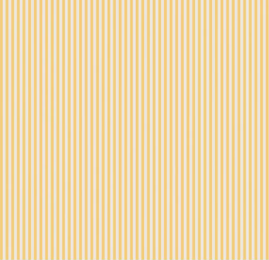 1/8" Stripe On Ivory-Honey C505-HONEY