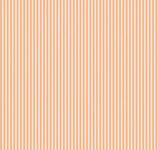 1/8" Stripe On Ivory-Marmalade C505-MARMALADE